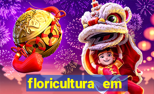 floricultura em lauro de freitas